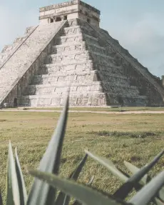 Does American Airlines Give Student Discount?